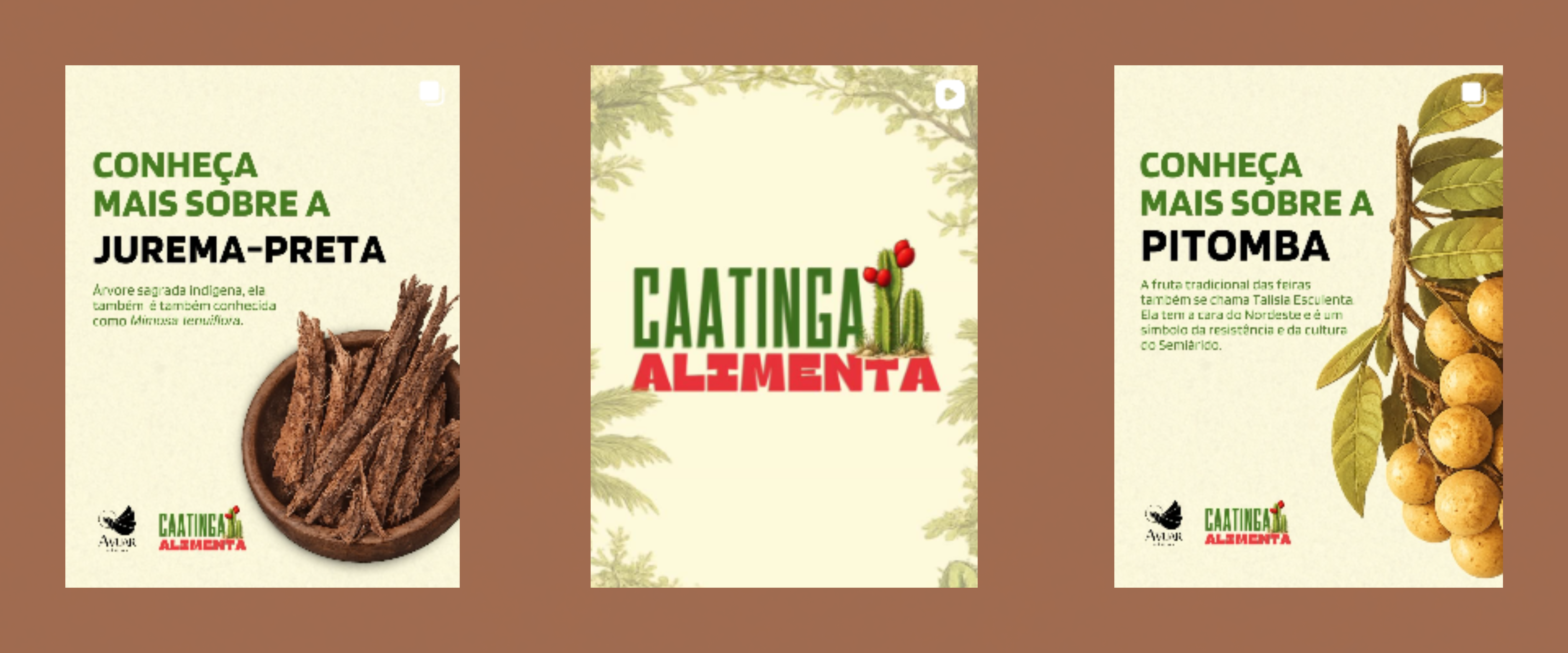 Caatinga Alimenta: série da Avuar Social destaca riquezas do bioma brasileiro